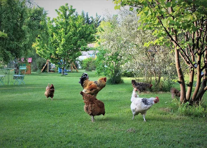 Le Pimayon * Manosque