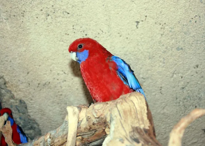 Holiday home Le Pimayon