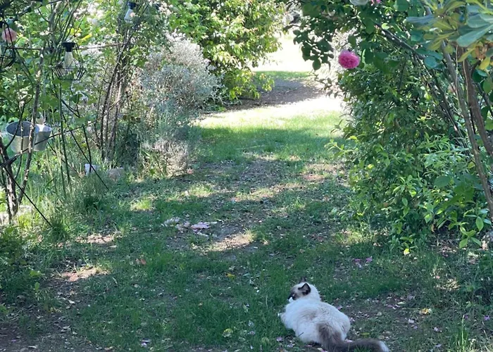 Holiday home Le Pimayon Manosque