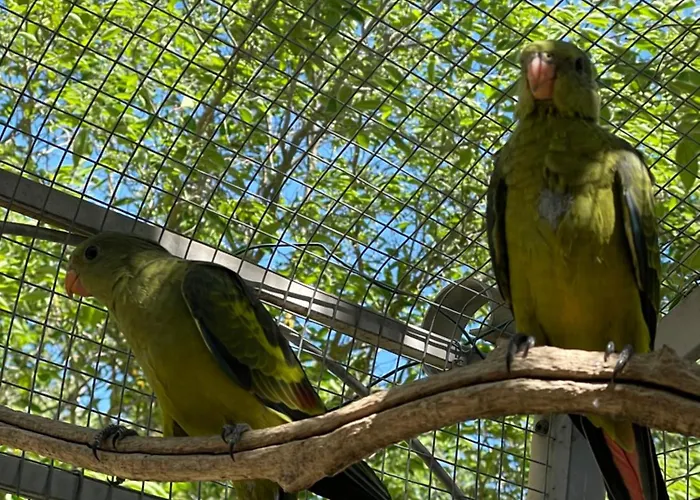 Holiday home Le Pimayon