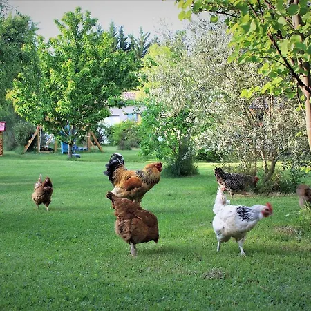 Le Pimayon * Manosque