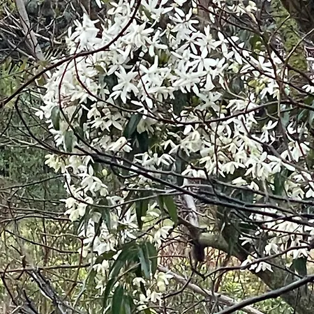 Le Pimayon * Manosque