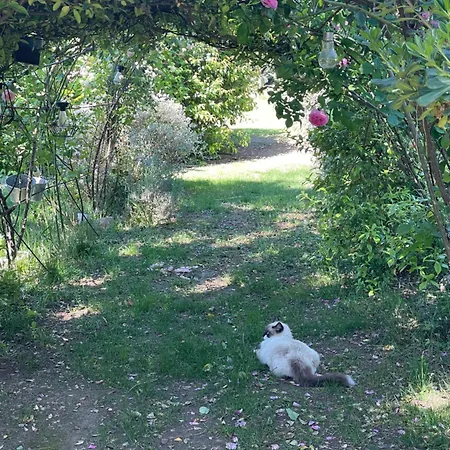 Hébergement de vacances Le Pimayon Manosque