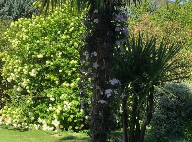 Le Pimayon Vakantiehuis