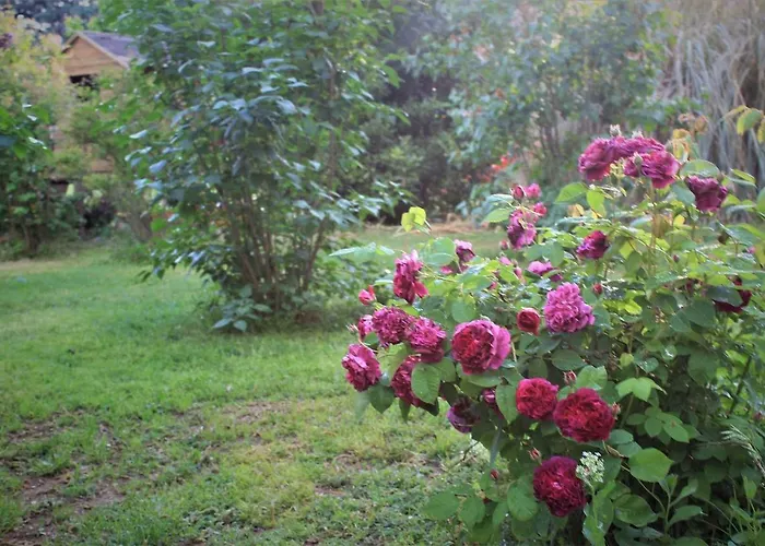 Vakantiehuis Le Pimayon *